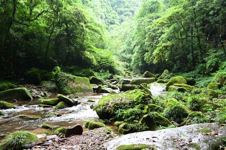 雅安景点排行榜，四川雅安值得一去的6个好玩景点，你去过几个?